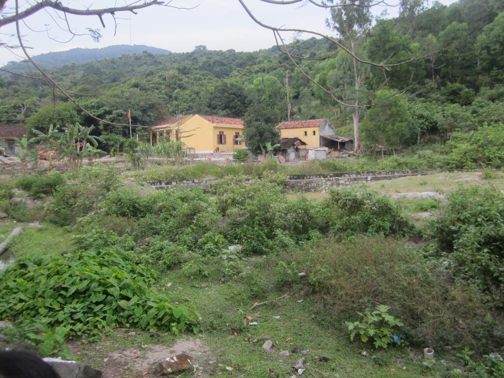 Bai Huong Cu Lao Cham Homestay Tân Hiệ Eksteriør bilde